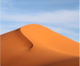 d03-Img-Dunes.jpg